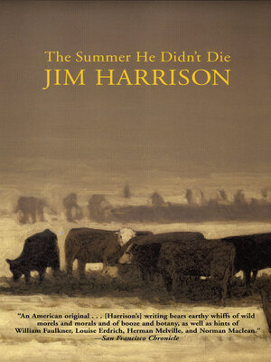 The Summer He Didn't Die - ebook